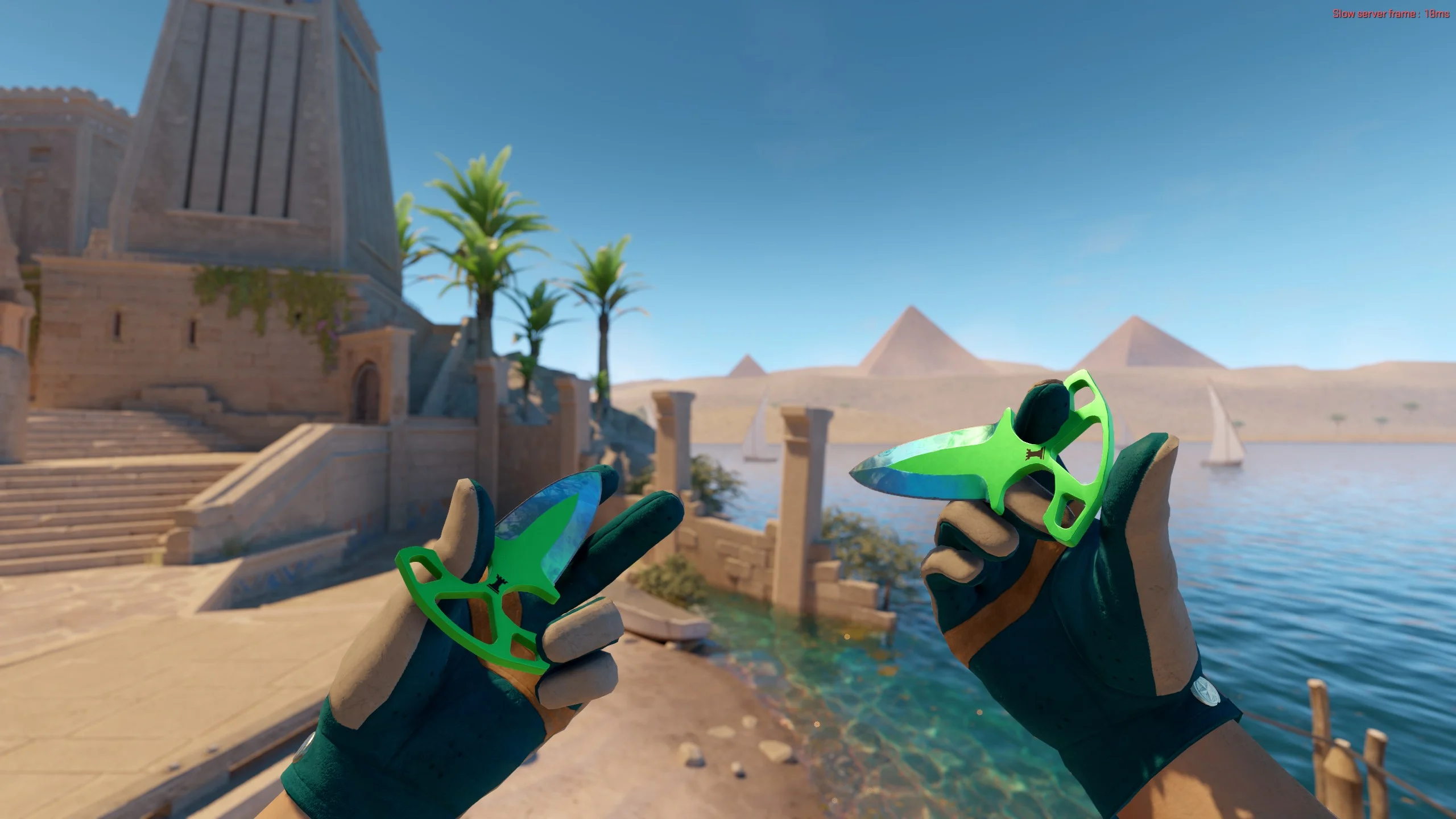 ★ Driver Gloves | Garden - CS2 skin screenshot 2