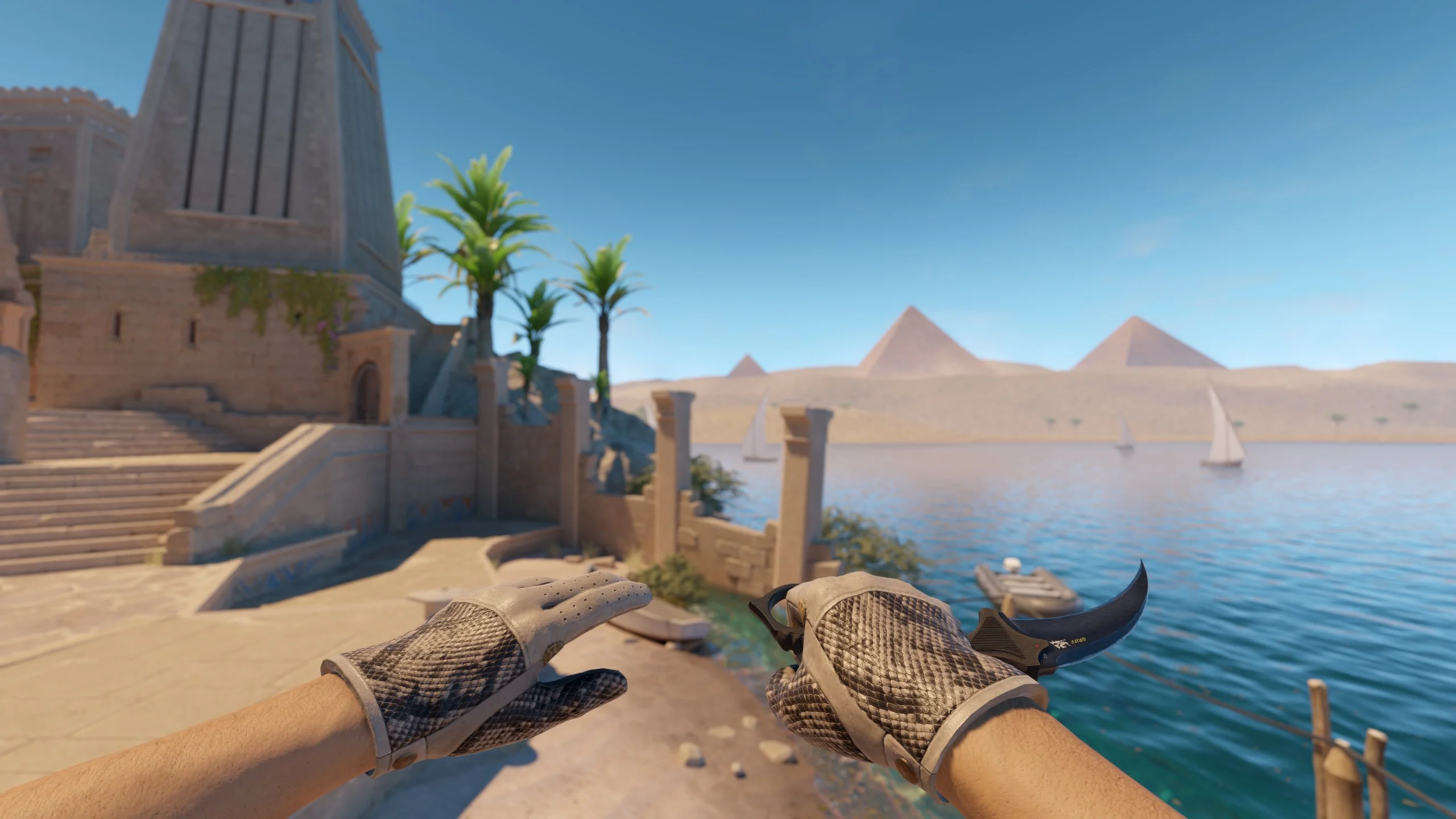 ★ Driver Gloves | King Snake - CS2 skin screenshot 1