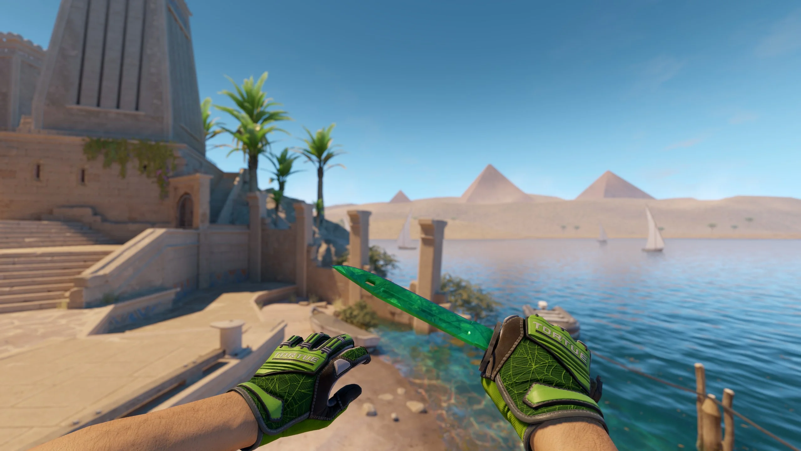 ★ Specialist Gloves | Emerald Web - CS2 skin screenshot 1