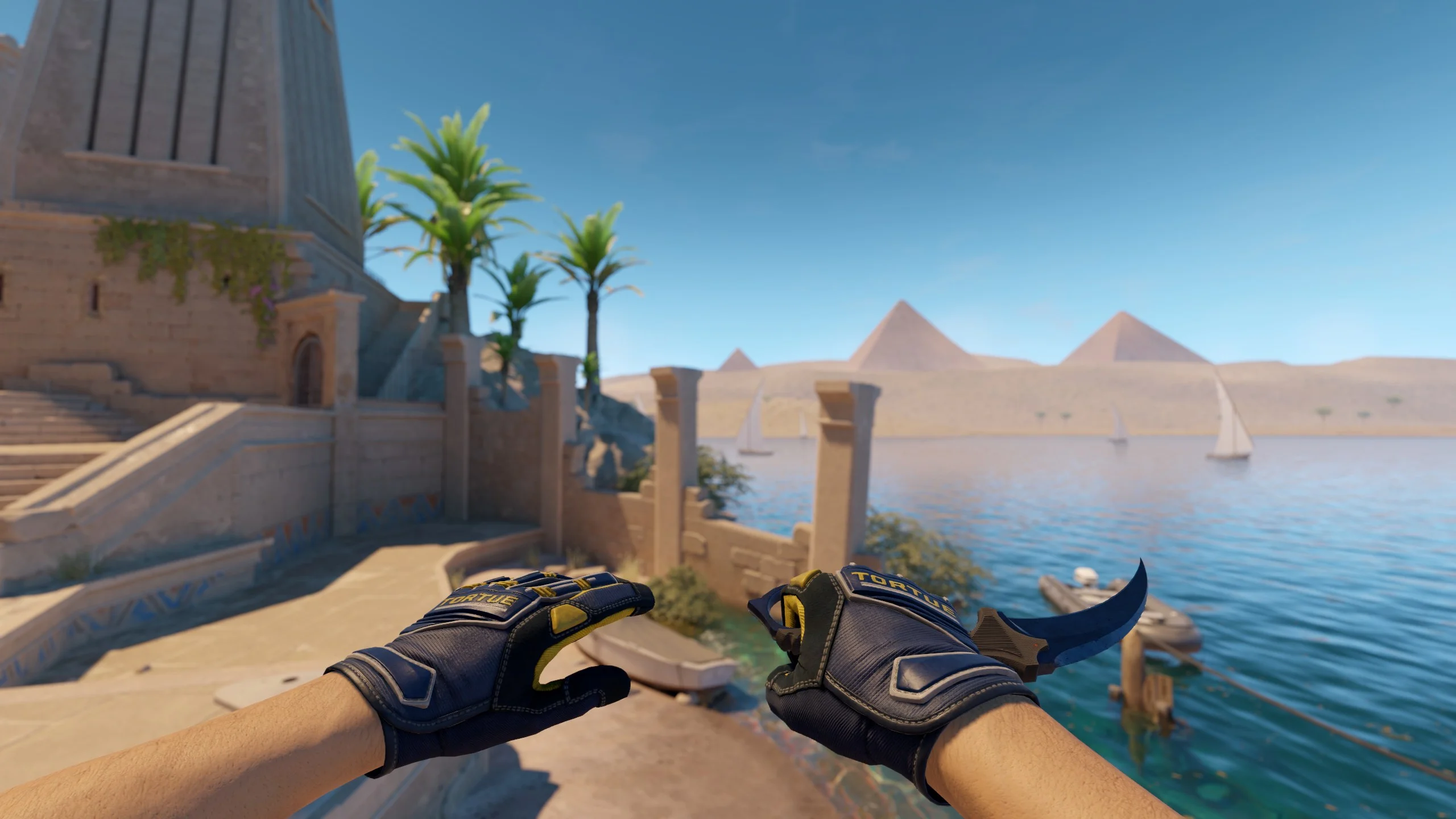 ★ Specialist Gloves | Field Agent - CS2 skin screenshot 1