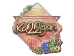 Pegatina | karrigan (holográfica) | Río 2022