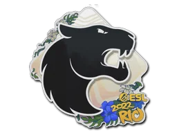 印花 | FURIA | 2022年里约热内卢锦标赛