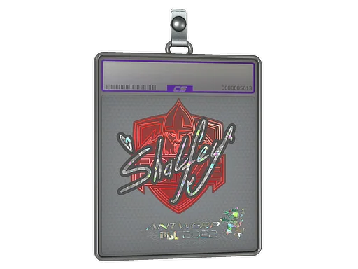 Placa de pegatinas | shalfey (purpurina) | Amberes 2022