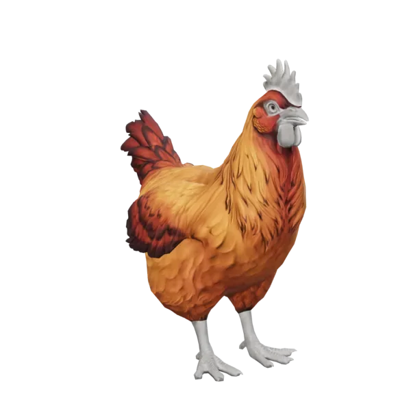 Pet Chicken | Catalana (Red-Yellow Gradient)