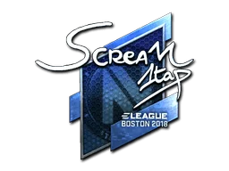 Naklejka | ScreaM (foliowana) | Boston 2018