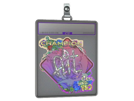Sticker Slab | FL1T (Glitter, Champion) | Rio 2022