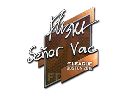 Klistermärke | flusha | Boston 2018