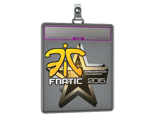 印花板 | Fnatic（闪亮）| 2015年克卢日-纳波卡锦标赛
