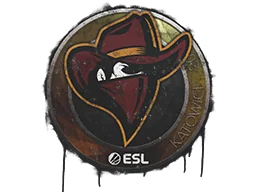 Sealed Graffiti | Renegades | Katowice 2019