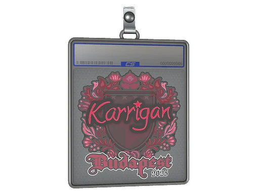Placa de pegatinas | karrigan | Budapest 2025