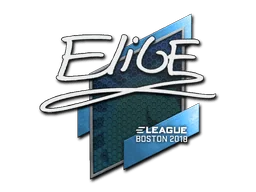 Naklejka | EliGE | Boston 2018
