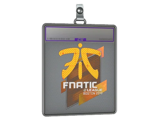 Sticker Slab | Fnatic (Holo) | Boston 2018