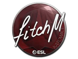 印花 | fitch | 2019年卡托维兹锦标赛