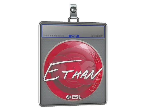 Placa de Adesivo | Ethan | Katowice 2019