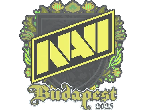 印花 | Natus Vincere | 2025年布达佩斯锦标赛
