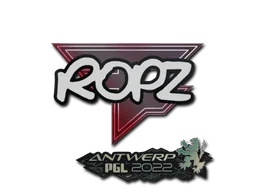 Adesivo | ropz | Antuérpia 2022