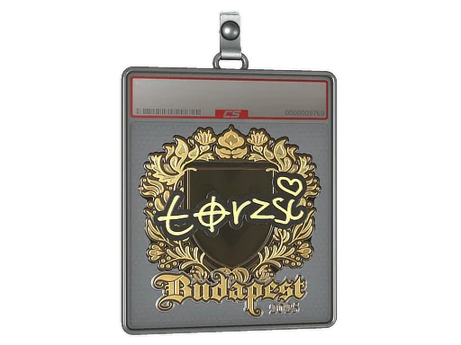 Sticker Slab | torzsi (Gold) | Budapest 2025