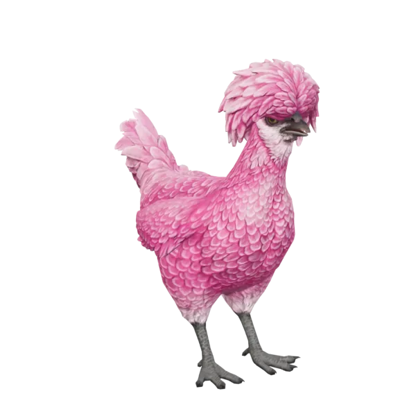 Pet Chicken | Polish (Pink)