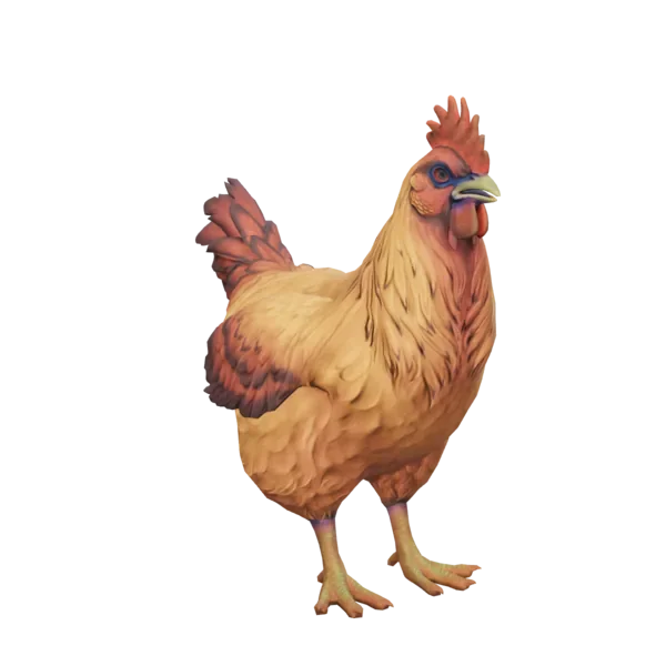 Pet Chicken | Catalana (Dark Orange)
