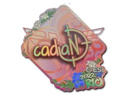 印花 | cadiaN（全息）| 2022年里约热内卢锦标赛