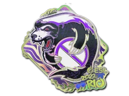 Pegatina | Outsiders (holográfica) | Río 2022