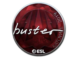 印花 | buster（闪亮）| 2019年卡托维兹锦标赛