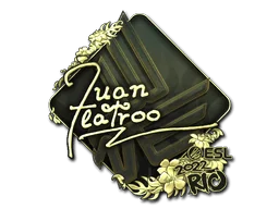 印花 | juanflatroo（金色） | 2022年里约热内卢锦标赛