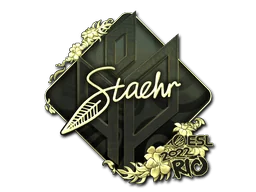 印花 | Staehr（金色）| 2022年里约热内卢锦标赛