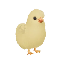 Pet Chick