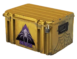 Shattered Web Case