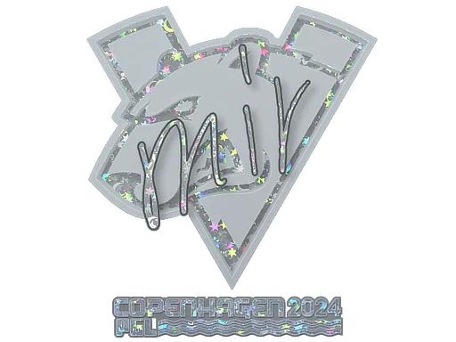 印花 | mir（闪耀）| 2024年哥本哈根锦标赛