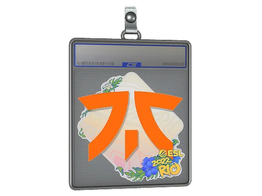 Sticker Slab | Fnatic | Rio 2022