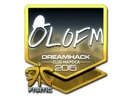Klistermärke | olofmeister (Foil) | Cluj-Napoca 2015