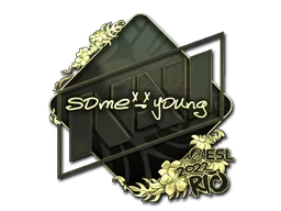 印花 | sdy（金色）| 2022年里约热内卢锦标赛