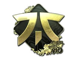 Pegatina | Fnatic (dorada) | Río 2022