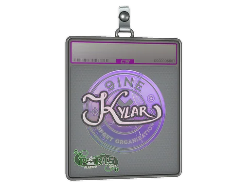 印花板 | Kylar（全息）| 2023年巴黎锦标赛