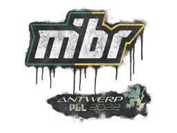 Versiegeltes Graffito | MIBR | Antwerpen 2022