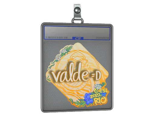 Sticker Slab | v4lde | Rio 2022