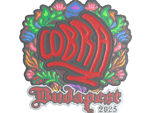 印花 | cobra（刺绣）| 2025年布达佩斯锦标赛