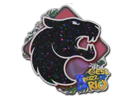 印花 | FURIA（闪耀）| 2022年里约热内卢锦标赛