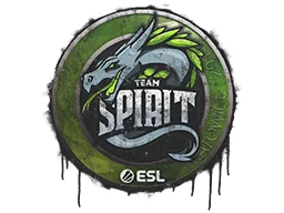 Sealed Graffiti | Team Spirit | Katowice 2019