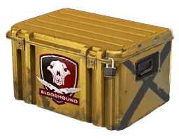 Falchion Case
