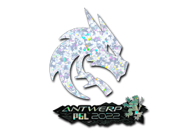 Pegatina | Team Spirit (purpurina) | Amberes 2022
