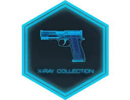 X 射线收藏品