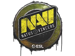 Sealed Graffiti | Natus Vincere | Katowice 2019
