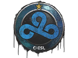 Sealed Graffiti | Cloud9 | Katowice 2019