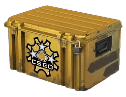 Revolver Case