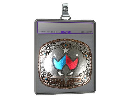 Placa de pegatinas | Wildcard (reflectante) | Austin 2025