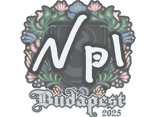 印花 | npl | 2025年布达佩斯锦标赛