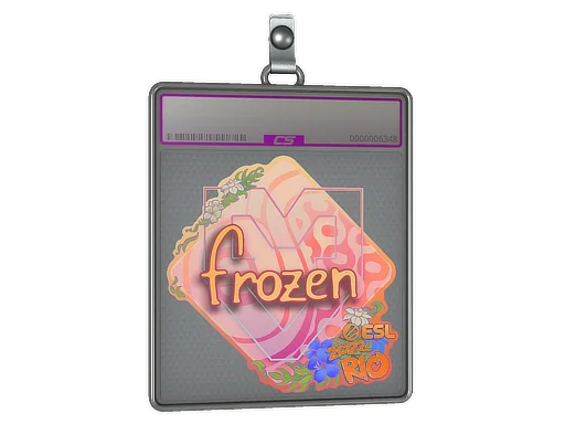 Placa de Adesivo | frozen (Holográfico) | Rio 2022
